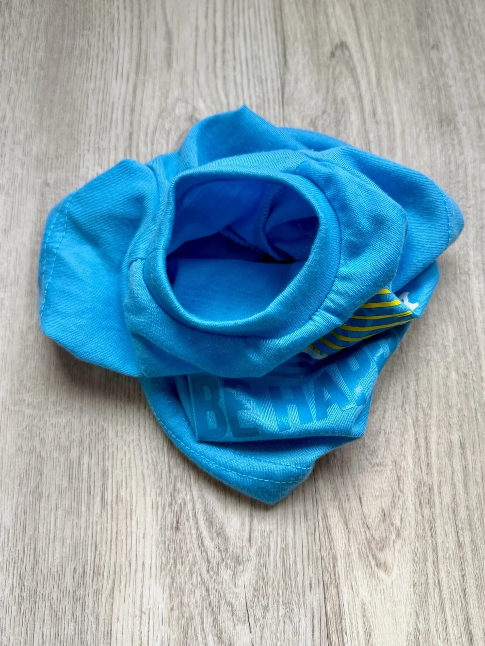 Other bright blue